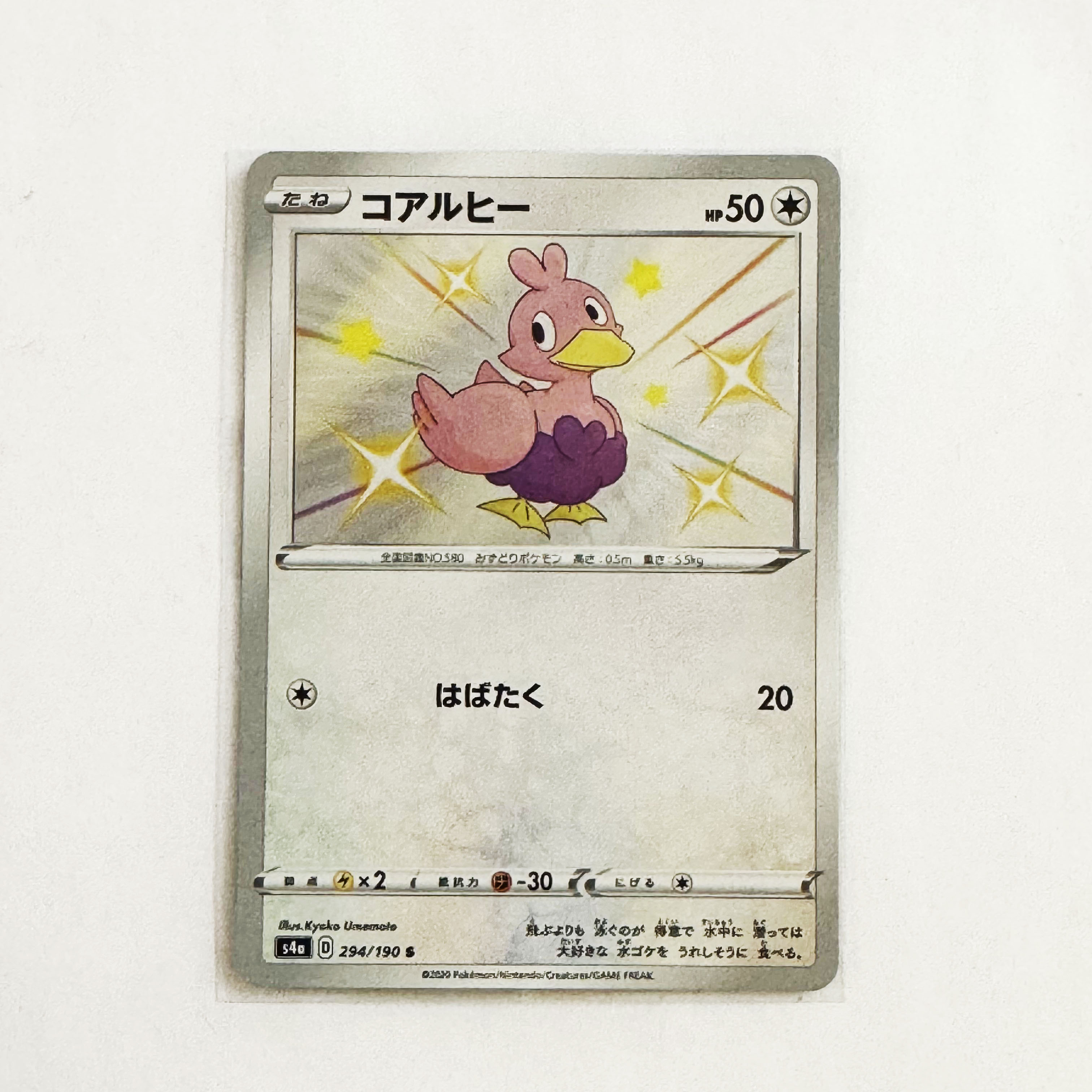 pokemon dp booster box PATHER. Pokemon Booster Box Display Case with Magnetic Lid  Pather US